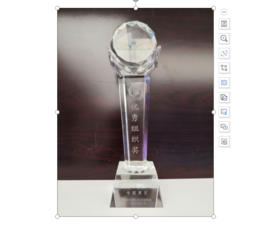 2008����Ҹ߼�����ҵ��ʮ��ɼ�ר��չ����������֯����